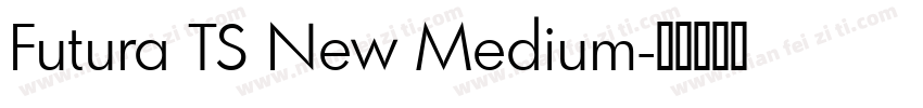 Futura TS New Medium字体转换